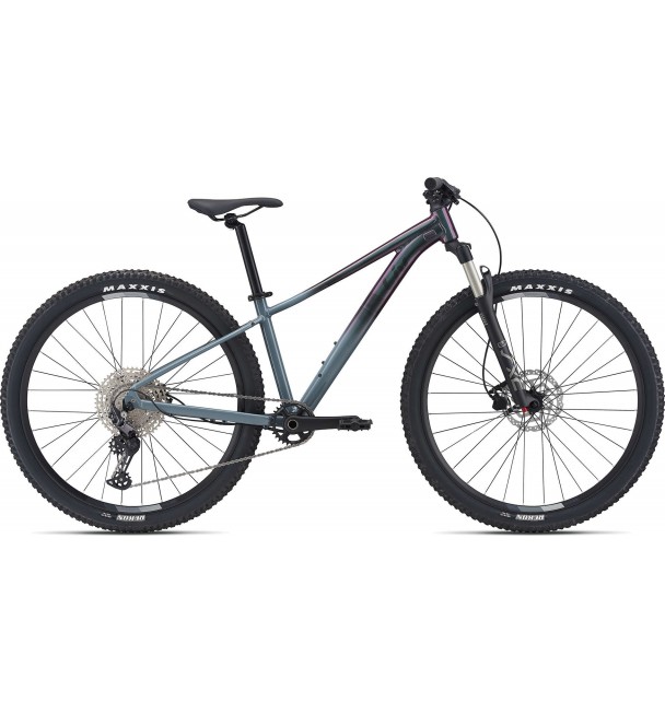 Liv Tempt 29 0 2021 Liv Tempt 29 0 2021