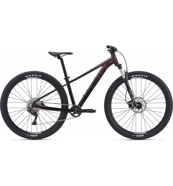 Liv Tempt 29 1 2021 Liv Tempt 29 1 2021