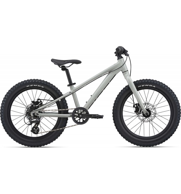 Giant STP 20" 2021 Giant STP 20" 2021