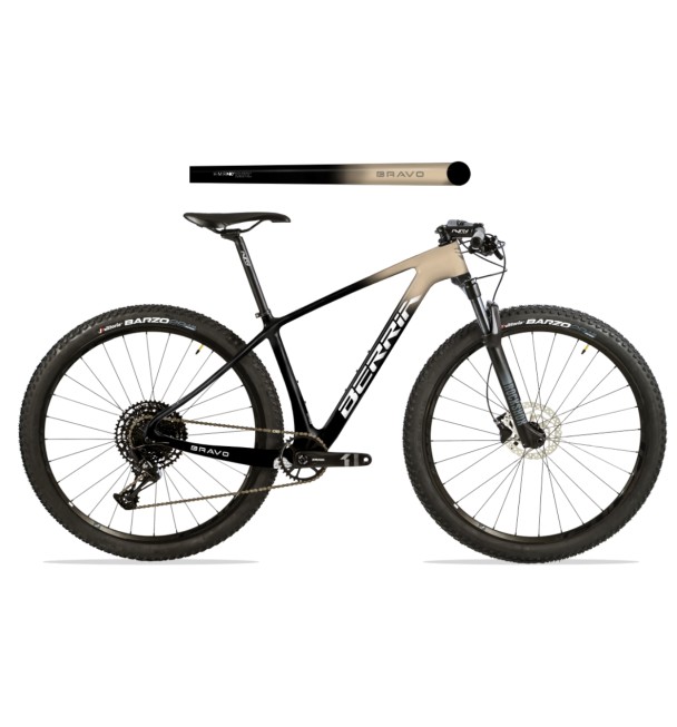 Berria Bravo Sport 2021 Berria Bravo Sport 2021
