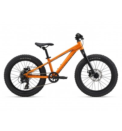 Giant STP 20" 2025