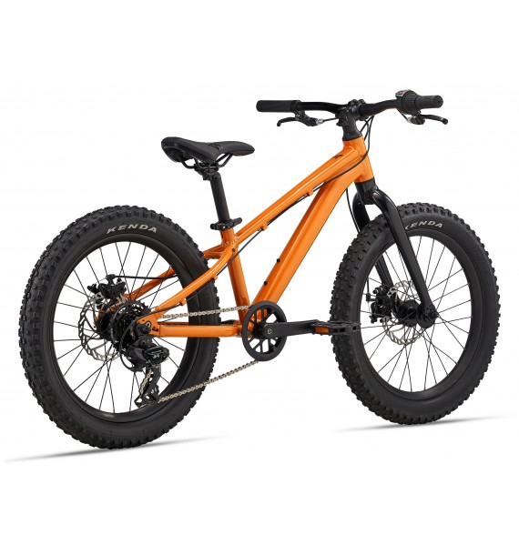 Giant STP 20" 2025