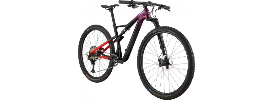 Bicicletas de Mujer MTB