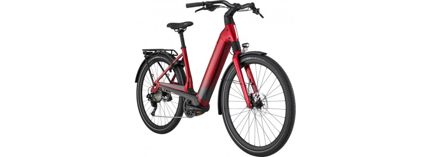 E-Bike de Trekking