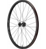 Rueda Delantera Carbono Giant XCR 2 29