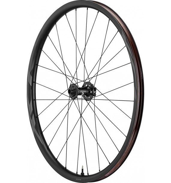 Rueda Delantera Carbono Giant XCR 2 29