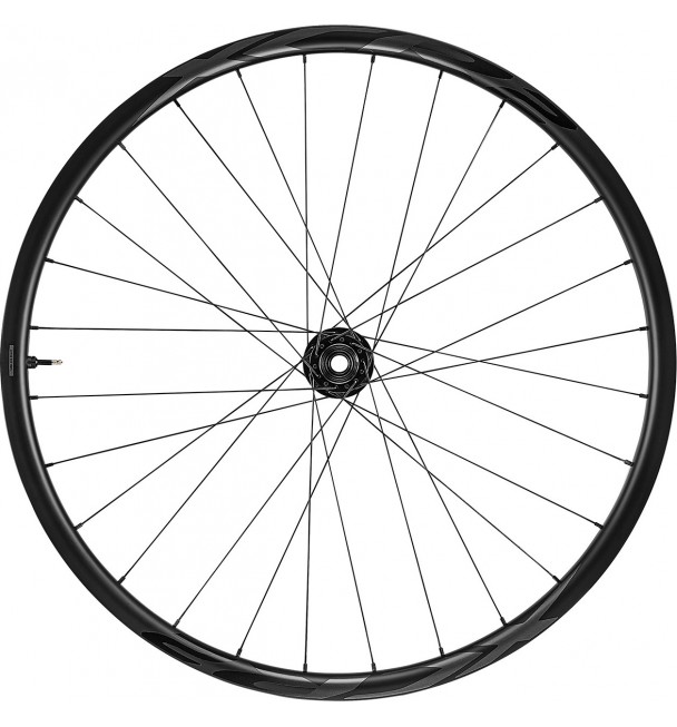 Rueda Delantera Carbono Giant XCR 2 29