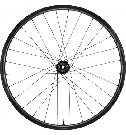 Rueda Trasera Carbono Giant XCR 2 29