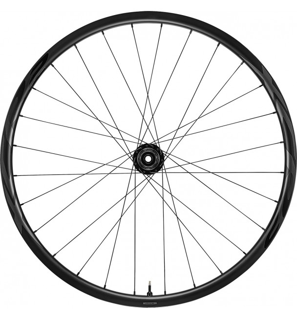 Rueda Trasera Carbono Giant XCR 2 29
