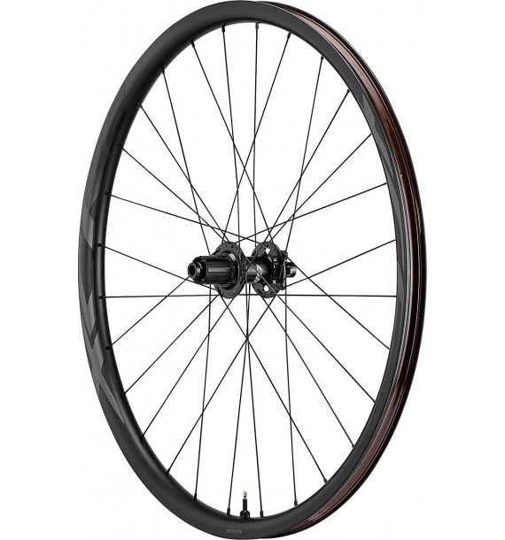 Rueda Trasera Carbono Giant XCR 2 29