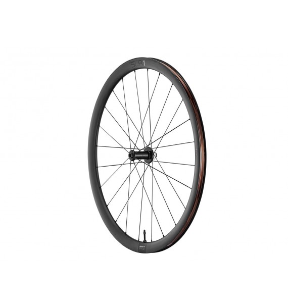 Rueda Delantera Giant SLR1 36 Tubeless Carretera