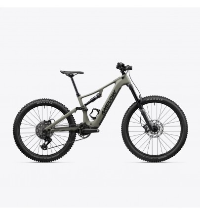 Amflow PR Carbon 2026